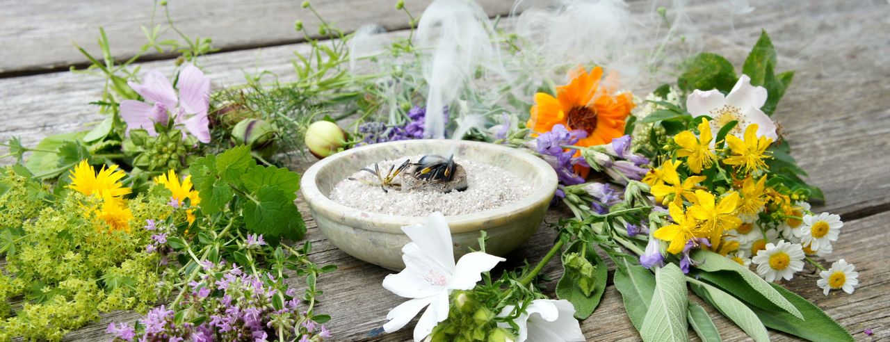 Naturheilkunde - Blumen und Kräuter rund um eine Schale mit räucherndem Weihrauch