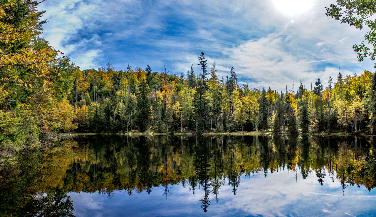 Blick auf den Bayerischen Wald. Die Bäume strahlen in herbstlichen Tönen und ein See ist im Vordergrund abgebildet.