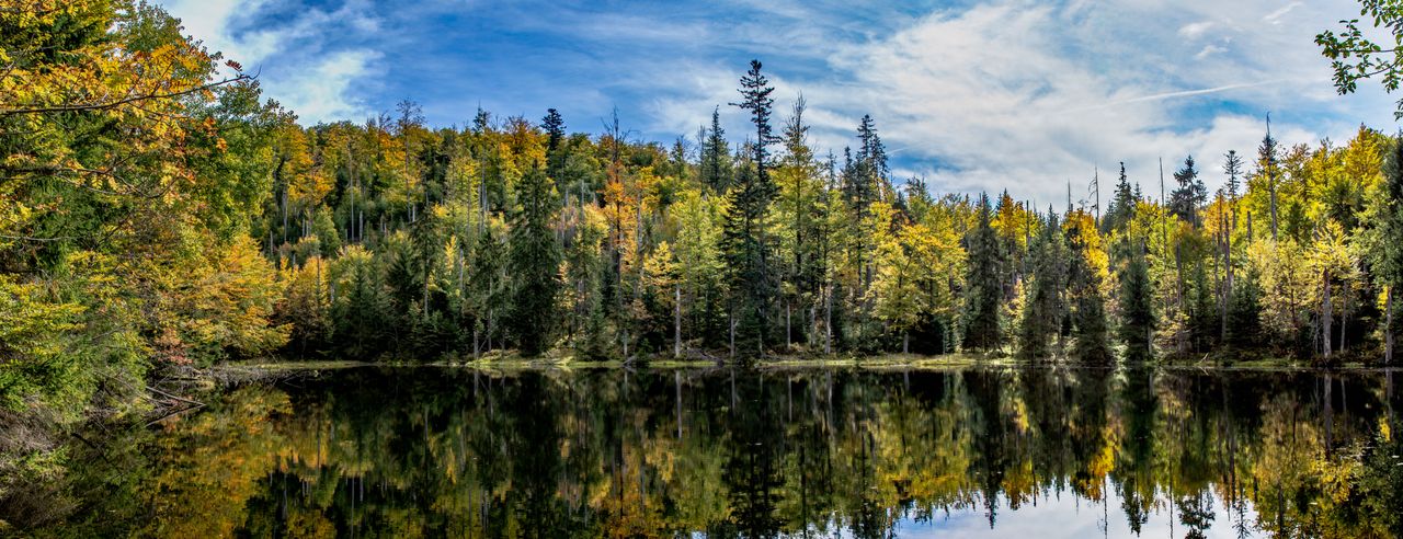 Blick auf den Bayerischen Wald. Die Bäume strahlen in herbstlichen Tönen und ein See ist im Vordergrund abgebildet.