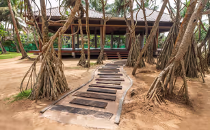 Siddhalepa Ayurveda Health Resort - Bild 5