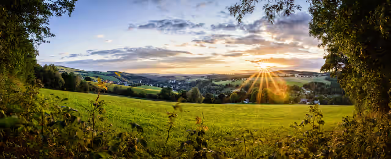 Wald- und Hügellandschaft in Sachsen