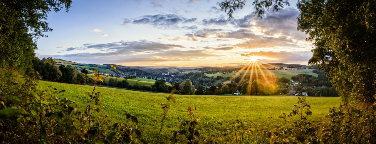 Wald- und Hügellandschaft in Sachsen