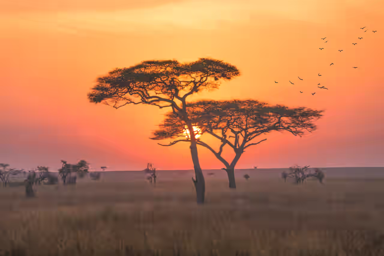 Blick auf eine Steppe bei Sonnenuntergang