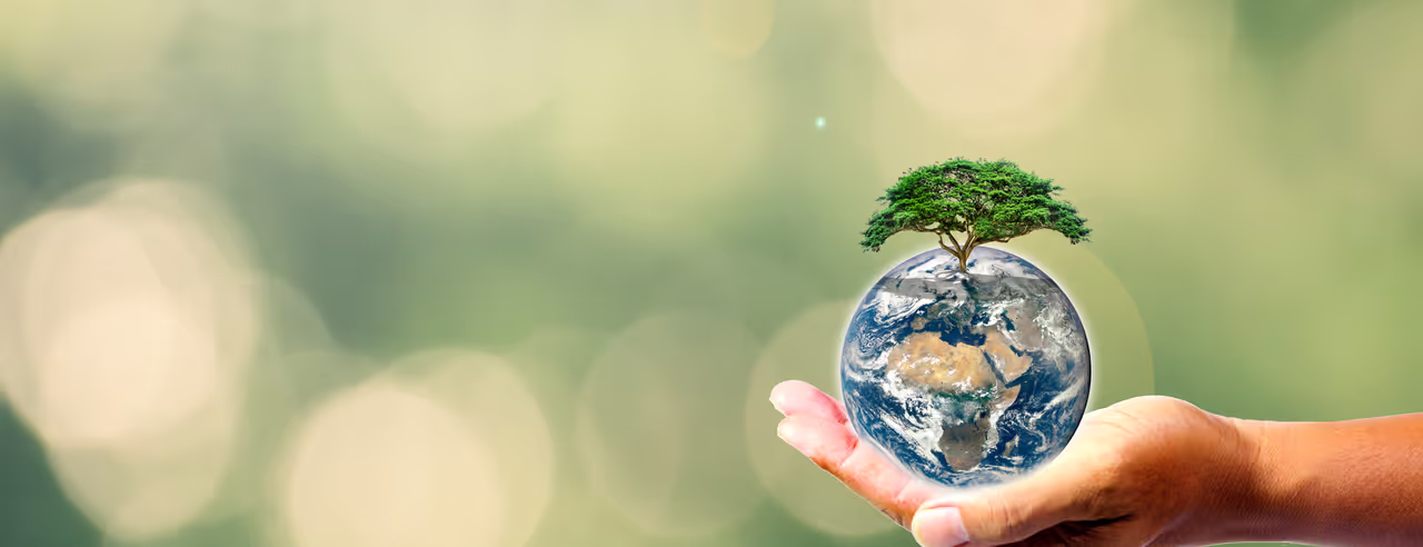 Nachhaltigkeit
