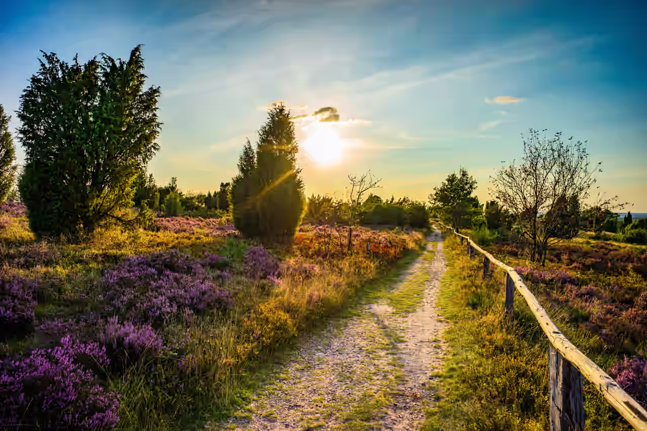 Sonnenuntergang auf dem Wilseder Berg in Norddeutschland erleben im Luxusurlaub
