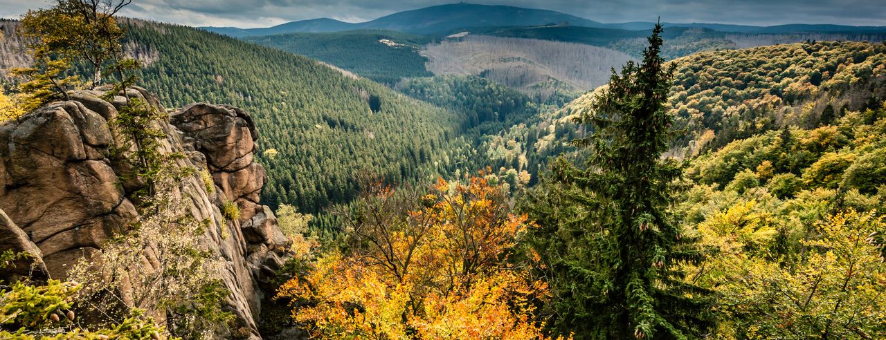 Der Ausblick auf den Harz im Herbst