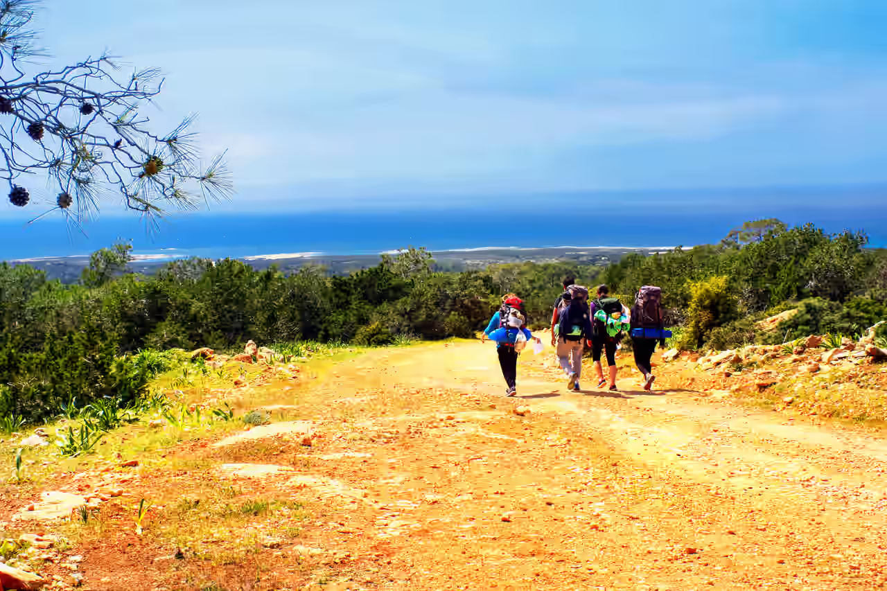 Vier Wanderer auf einem steinigen Trail mit Blick auf grüne Baumkronen und das Meer vor der Küste Zyperns