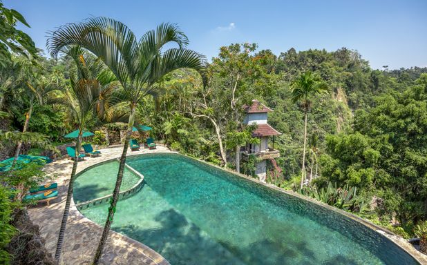 The Royal Pita Maha - Imagen 1