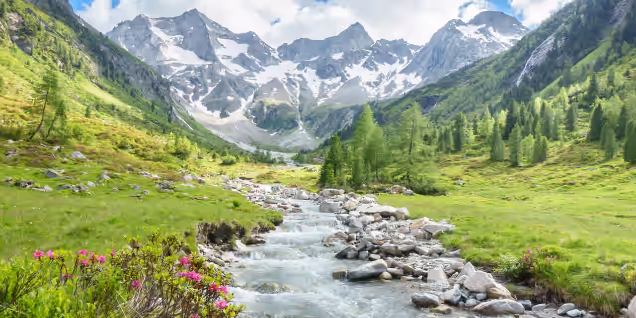 Bach zwischen großen Steinen und Wiesen mit Blick auf Berge in Bayern