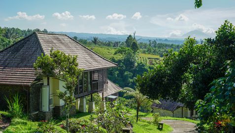 Bagus Agro Pelaga