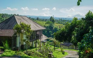 Bagus Agro Pelaga - Bild 3