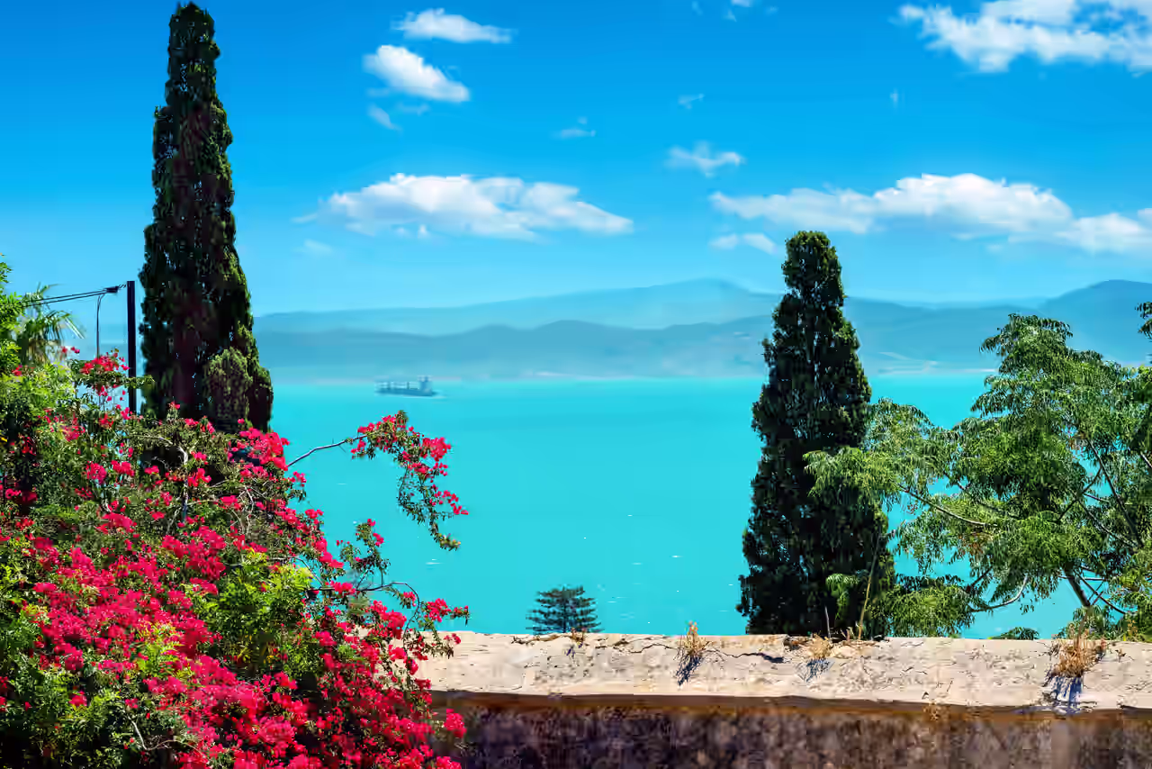 Meerblick vom Garten von Karthago auf die Bucht von Tunis im Luxusurlaub erleben