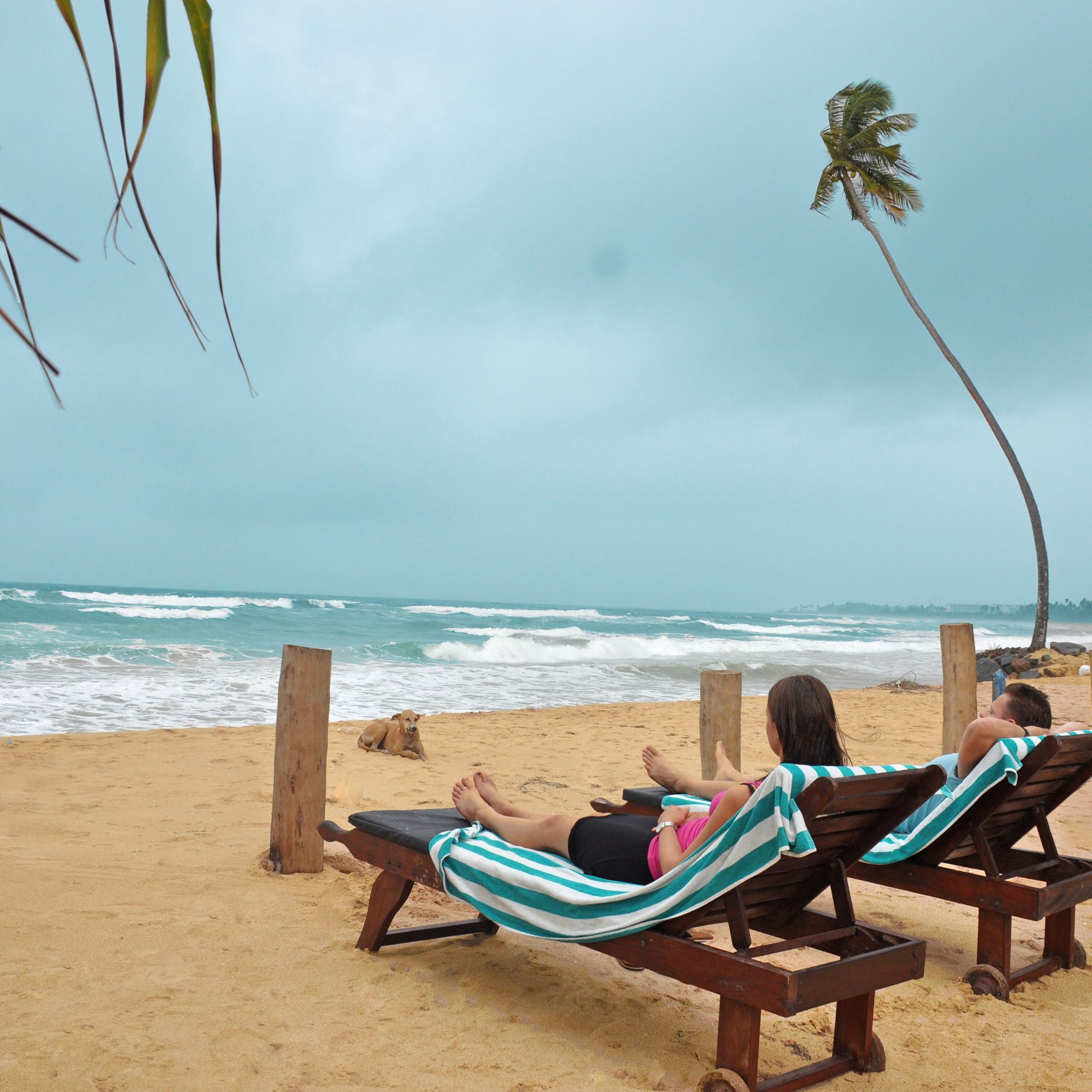 Aathma Ayurveda Beach Resort.