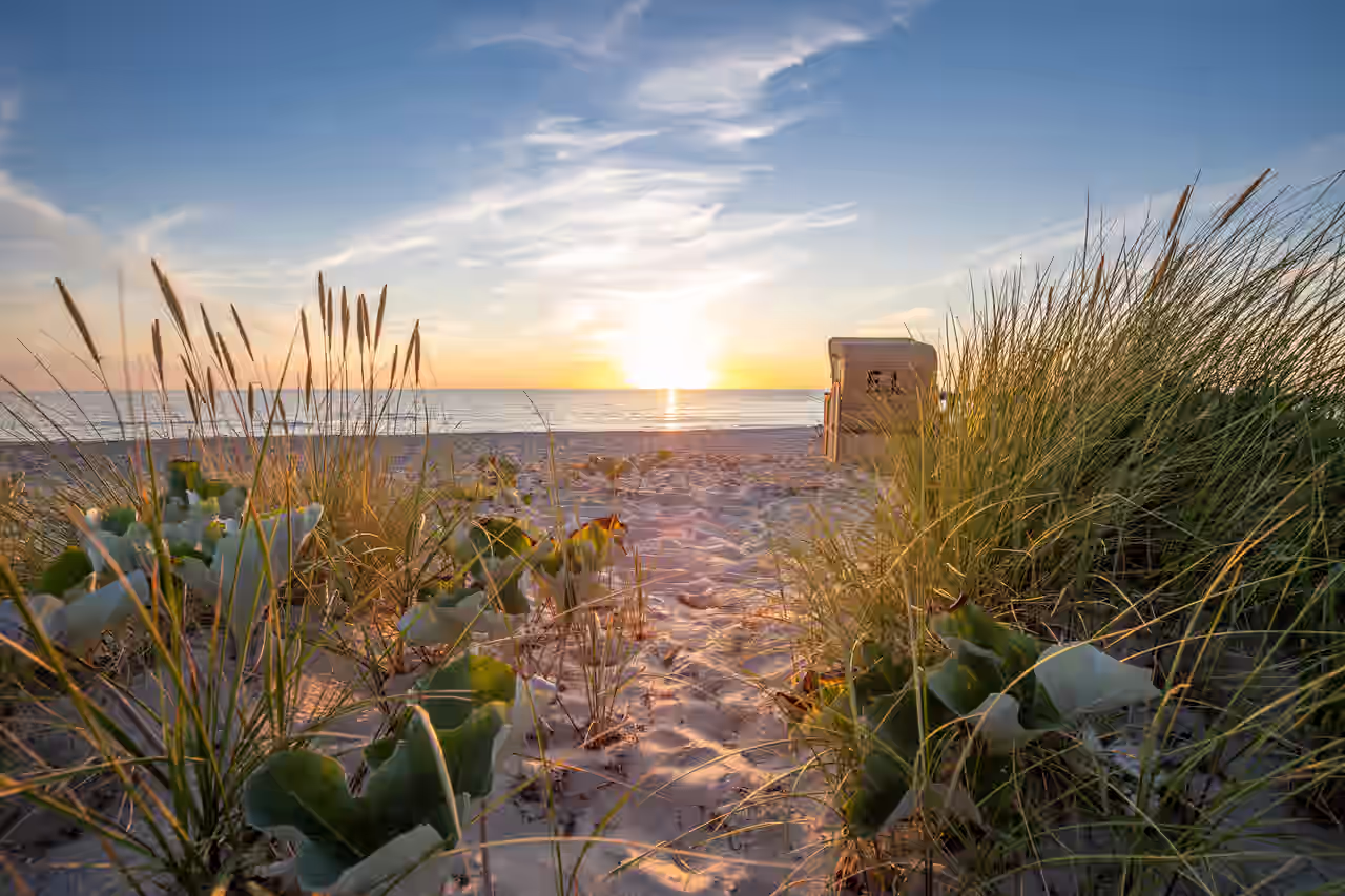 Dünenpflanzen am Strand vor einem einzelnen Strandkorb bei Sonnenuntergang