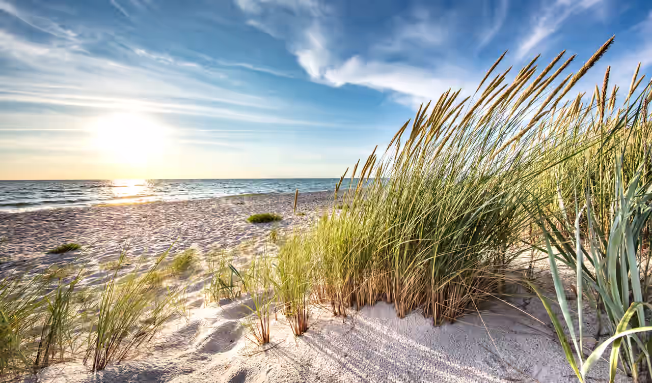 Ostseestrand bei tiefstehender Sonne, Dünengras weht im Wind