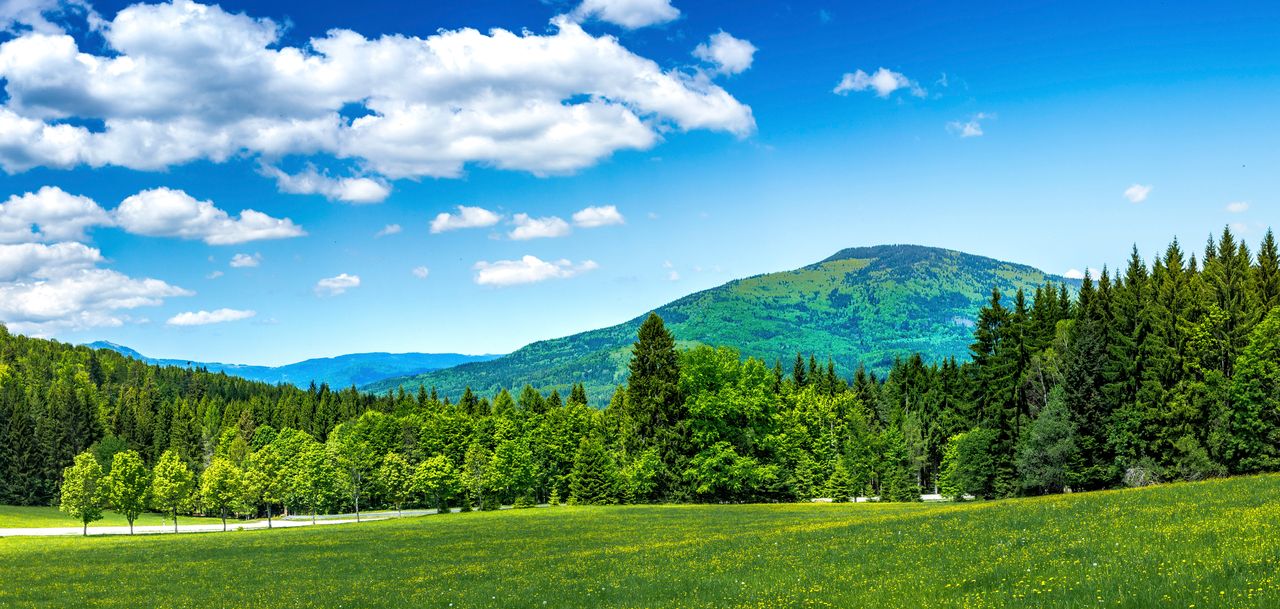 Landschaft während einer Ayurveda Kur im Bayerischen Wald