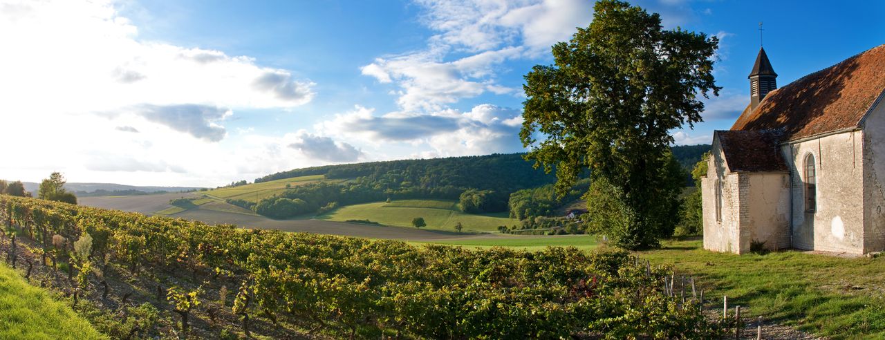 Frankreich im Sonnenlicht: Blick über das Loire-Tal