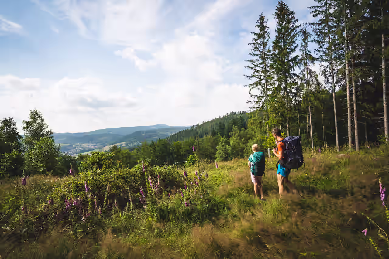Zwei Wanderer im Thüringer Wald