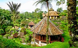 Bagus Jati - Immagine 5