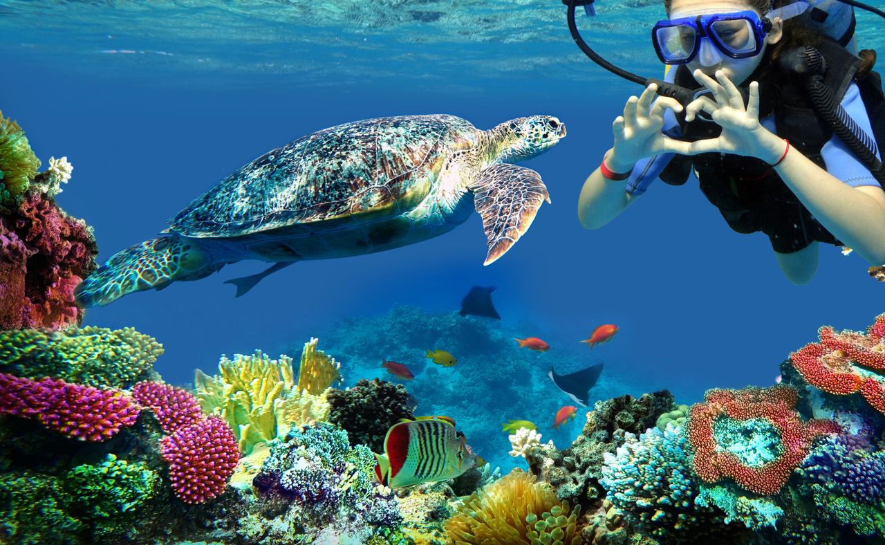 Taucher Unterwasser mit Schildkröte und Korallenriff
