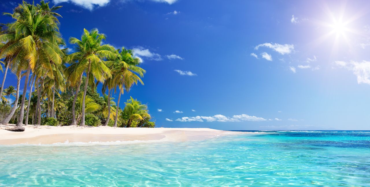 Ein Traumstrand am Meer ist ideal für die Flitterwochen. Das Meer leuchtet blau und die Palmen werden von der Sonne angestrahlt.