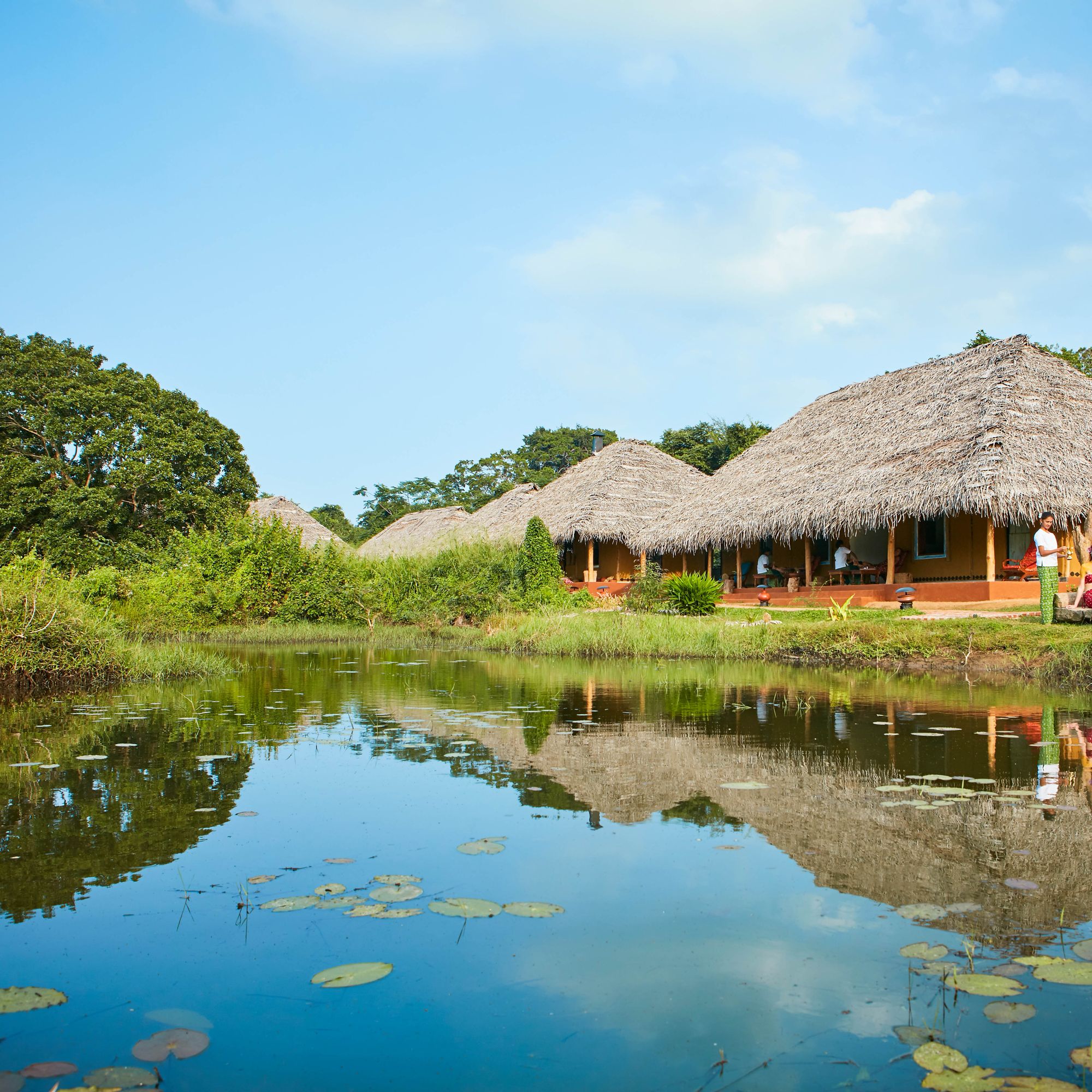 Amuna Ayurveda & Wellness Retreat.