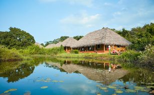 Amuna Ayurveda & Wellness Retreat - Imagen 4