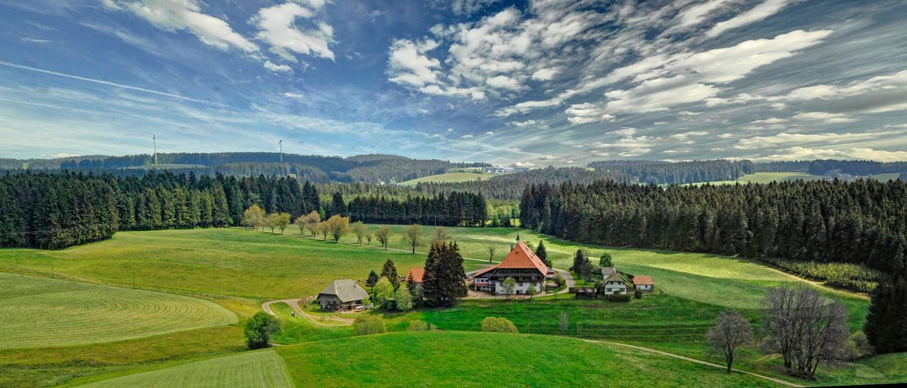 Mehrere Gebäude auf einer Wiese umringt von Wäldern