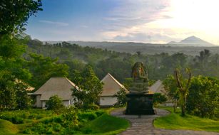 Bagus Agro Pelaga - Imagen 4