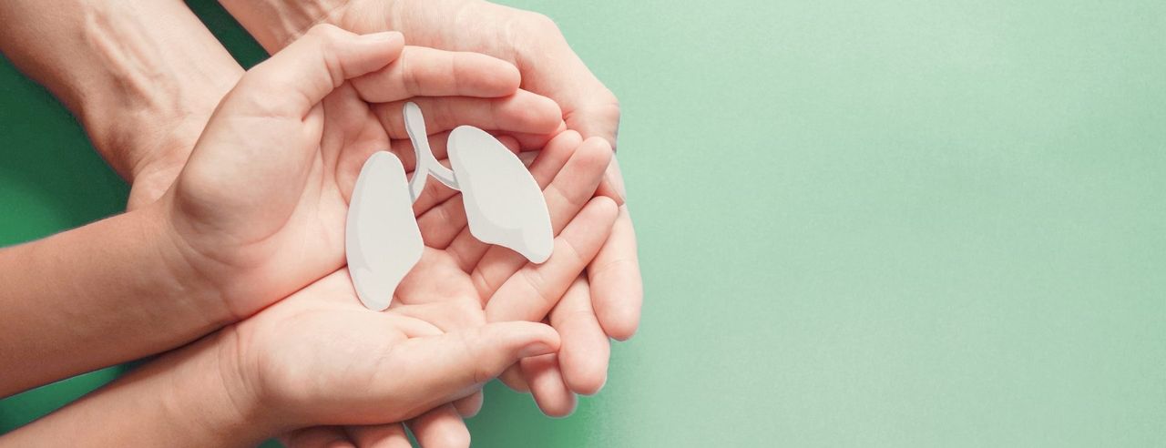 Hände in denen Lungenflügel abgebildet werden