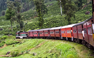 Sri Lanka Highlights - Bild 4