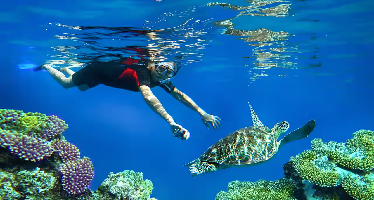 Frau schnorchelt und sieht Schildkröte unter Wasser
