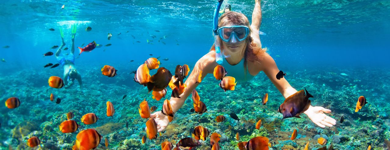 Frau und Mann beim Schnorcheln zwischen Fischen