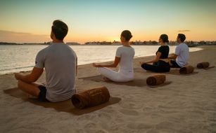 Fairmont The Palm - Afbeelding 4