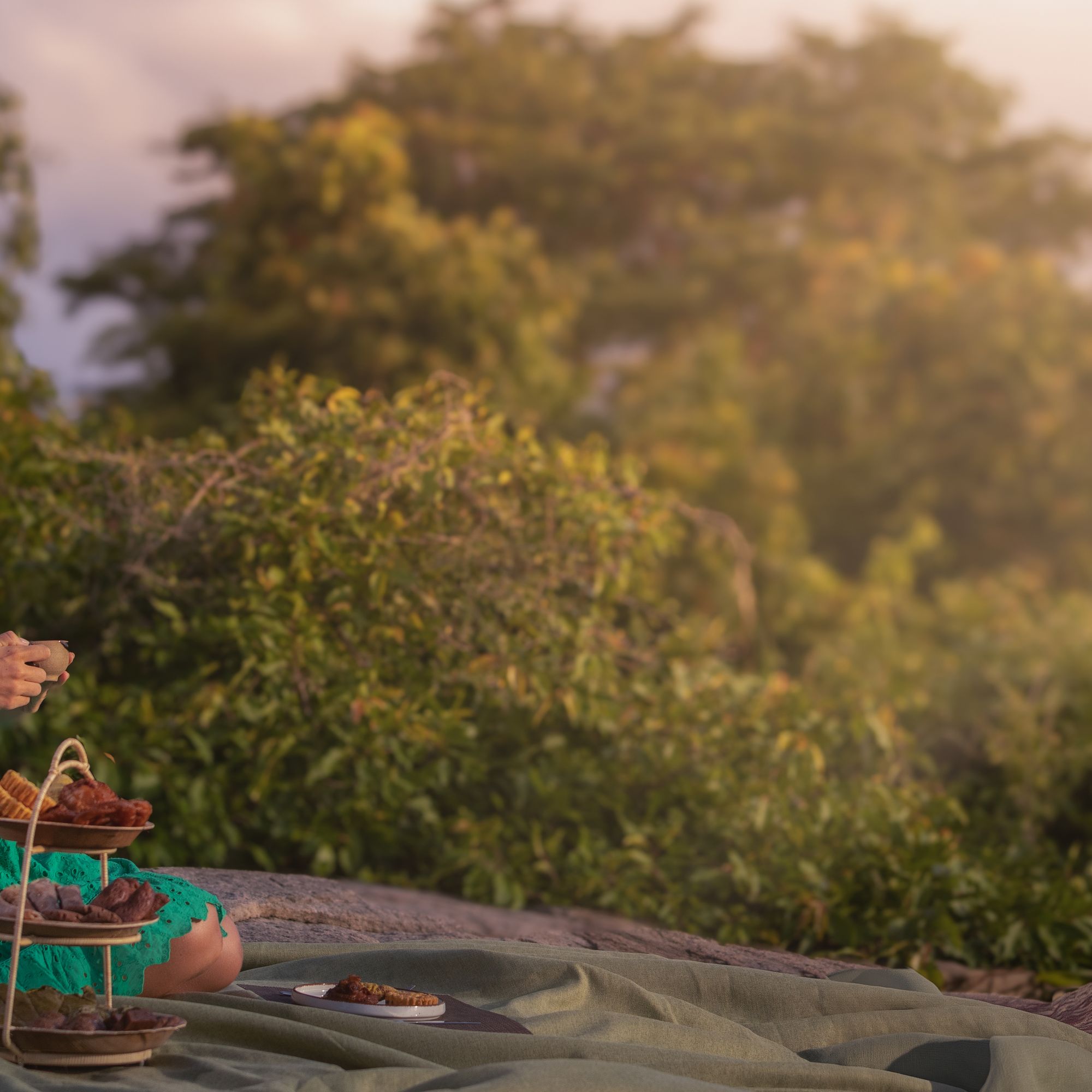 Ayugiri Ayurveda Wellness Resort.