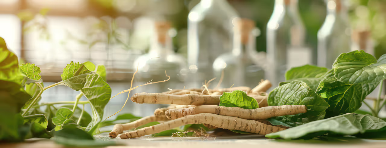 Su un tavolo giacciono radici bianche circondate da foglie verdi. 