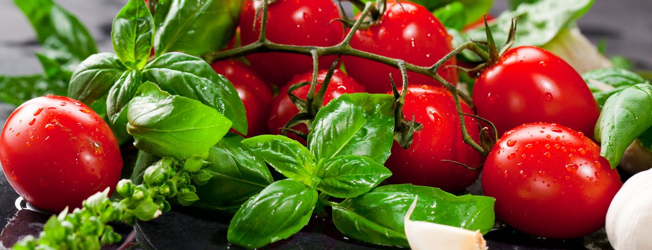 Auf einem Tisch liegen strahlend rote Tomaten, grünblättriger Basilikum und die weißen Zehen einer Knoblauchknolle