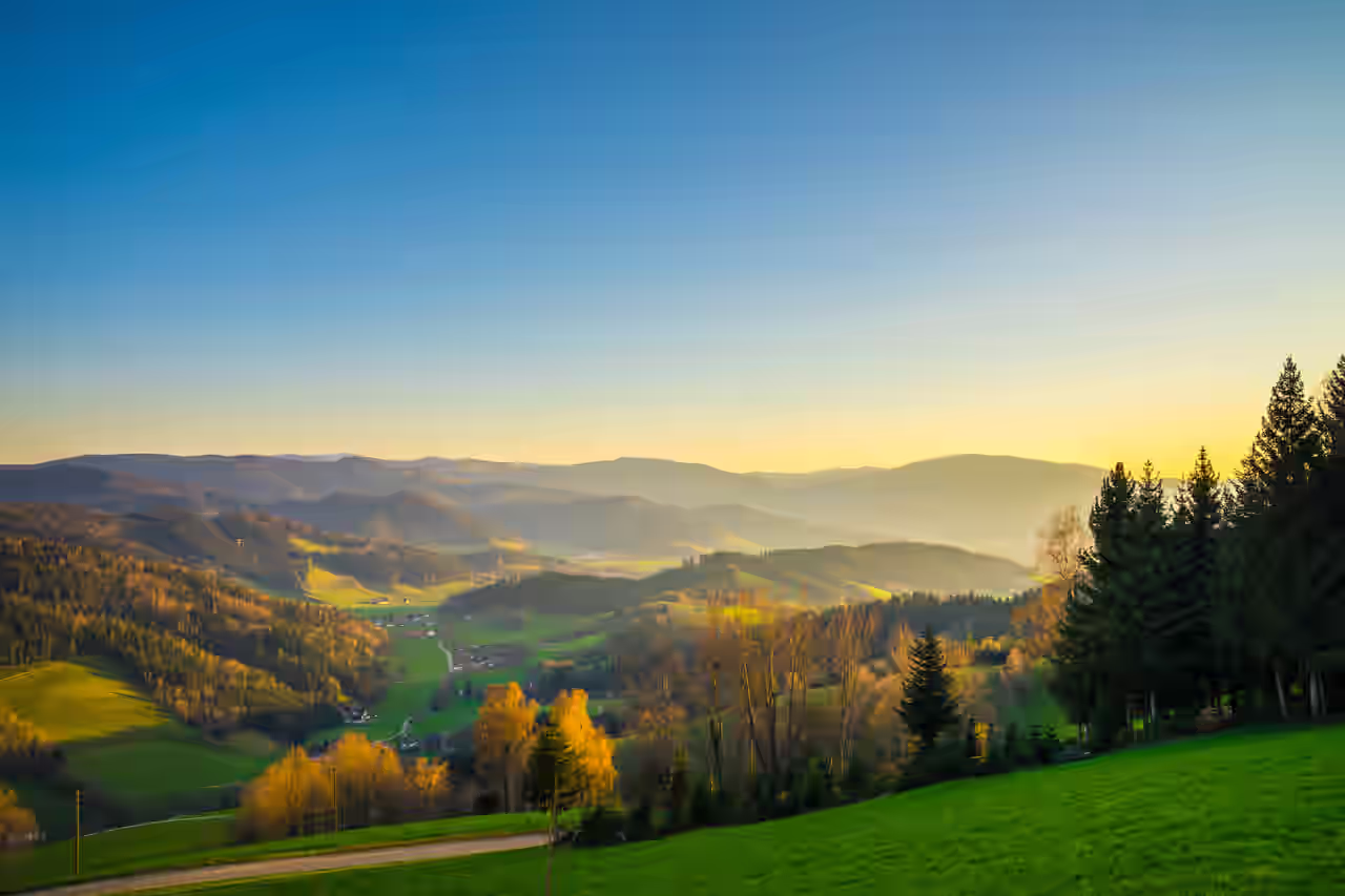 Schwarzwald