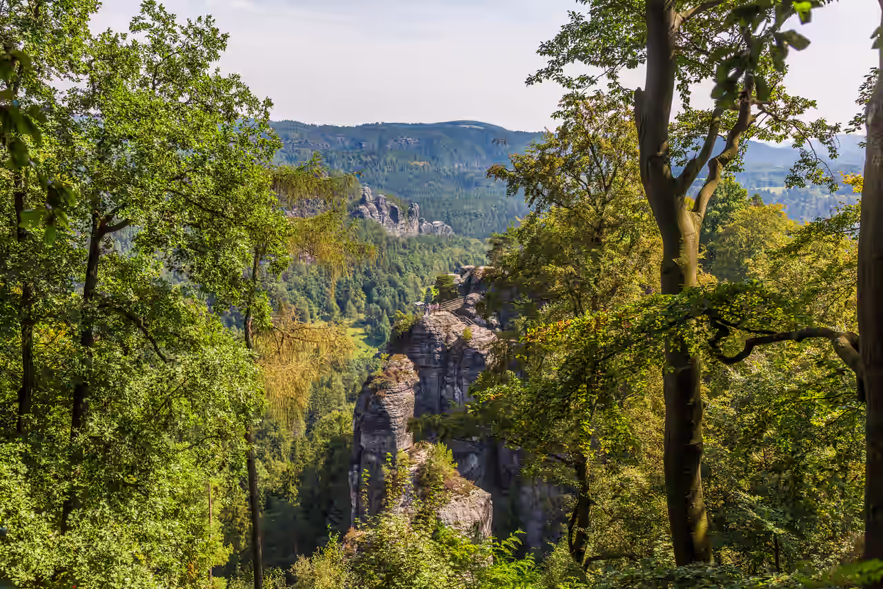 Felsformationen im Erzgebirge