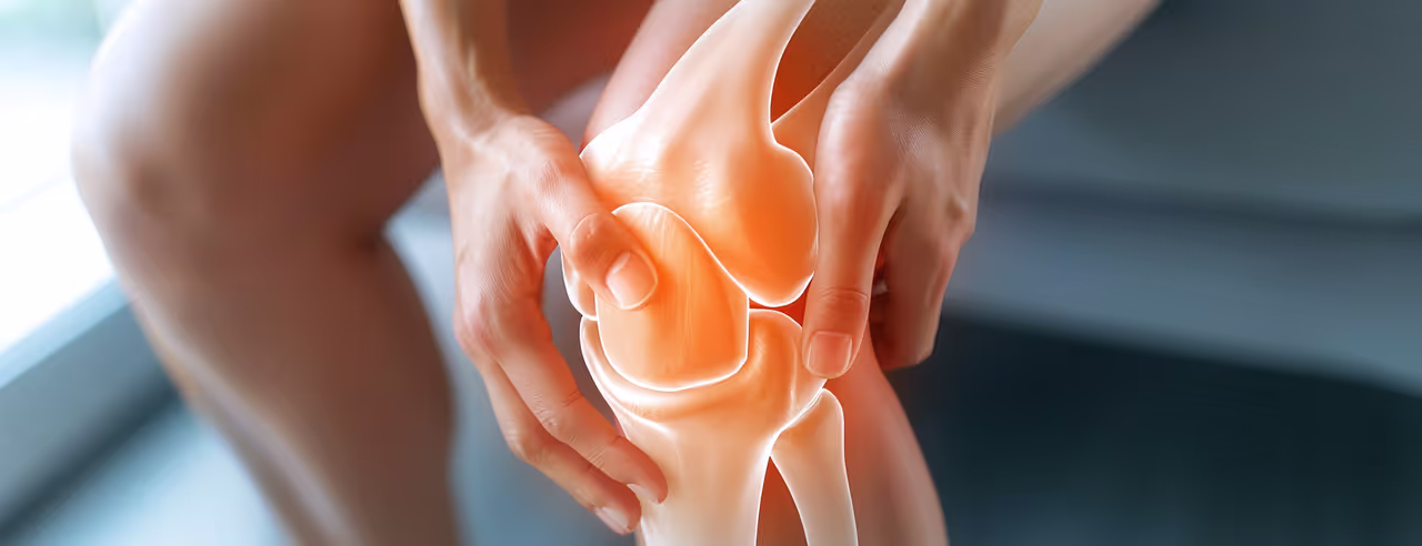 La personne tient le genou douloureux, sur lequel l'articulation est représentée graphiquement