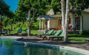 Bagus Agro Pelaga - Imagen 3