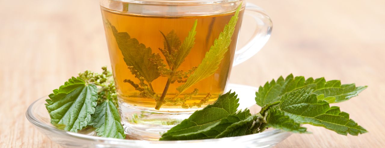 Une tasse de thé aux orties