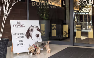 BONVITAL Wellness & Gastro Hotel  - Bild 2