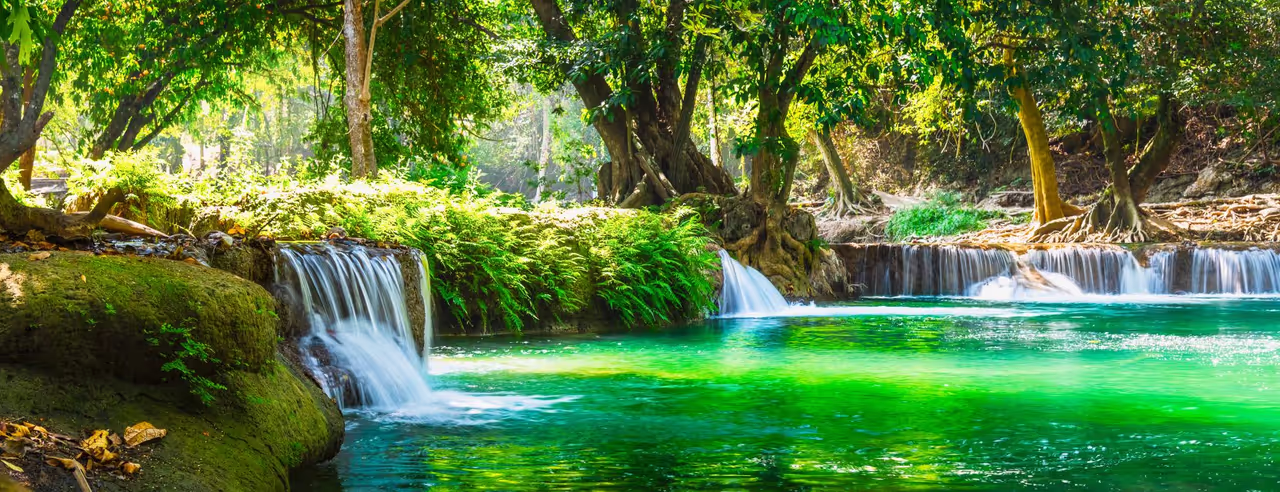 Nationalpark Panorama