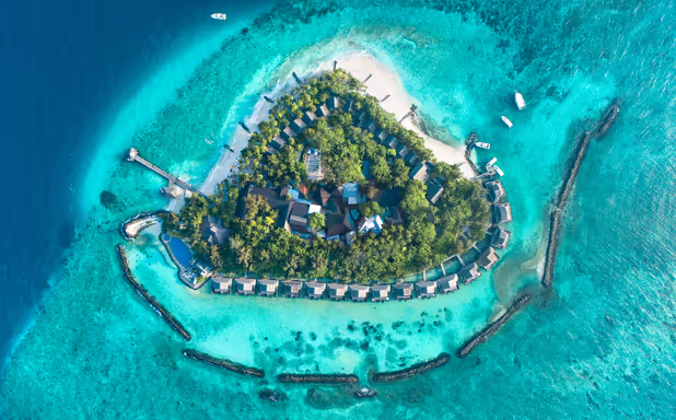 Taj Coral Reef Resort & Spa - Image 1