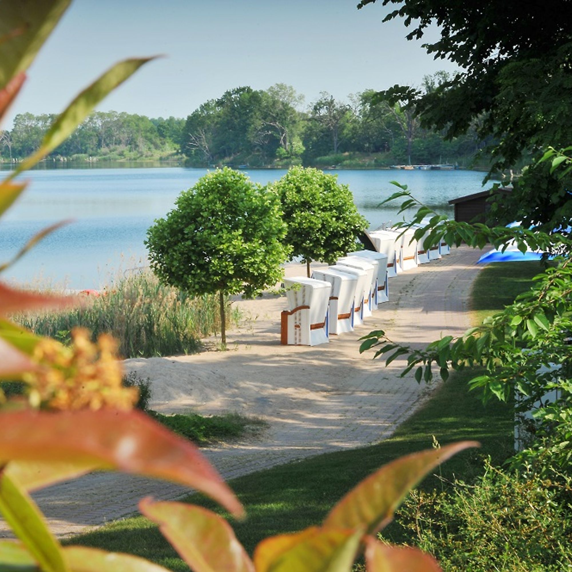 Bernstein Acamed Resort.