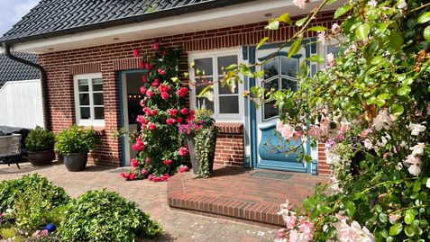 Freie Sicht - Das Nordsee-Gesundheitshaus