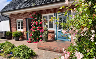 Freie Sicht - Das Nordsee-Gesundheitshaus - Bild 5