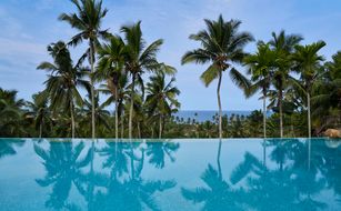 Taj Green Cove Resort & Spa - Afbeelding 2