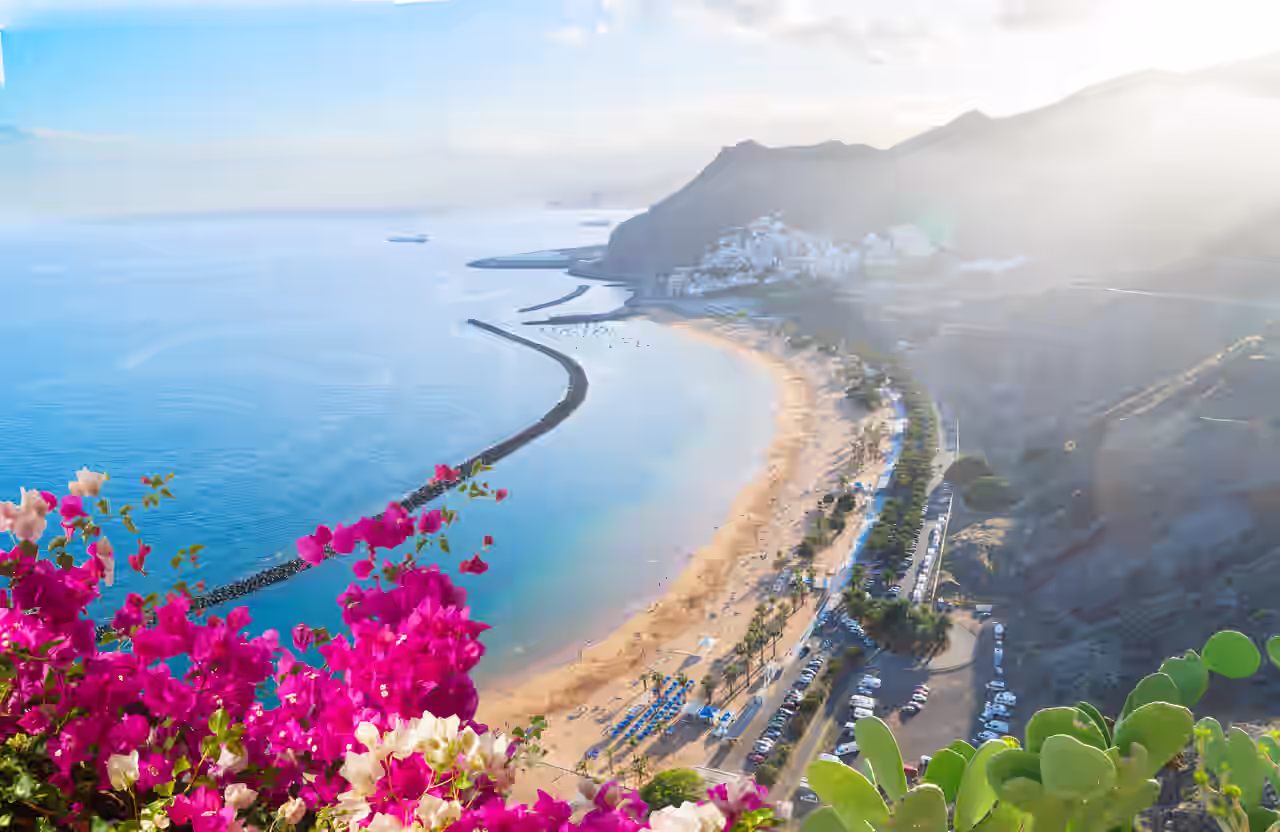 Pinke Blüten vor blauem Meer, Strand und einem Ort am Berghang auf Teneriffa